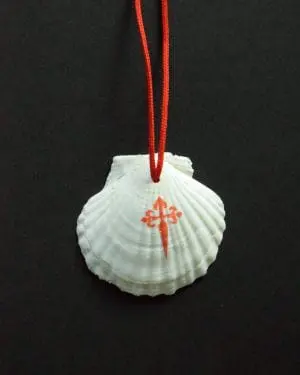 Natuurlijke Sint-Jakobsschelp met opdruk