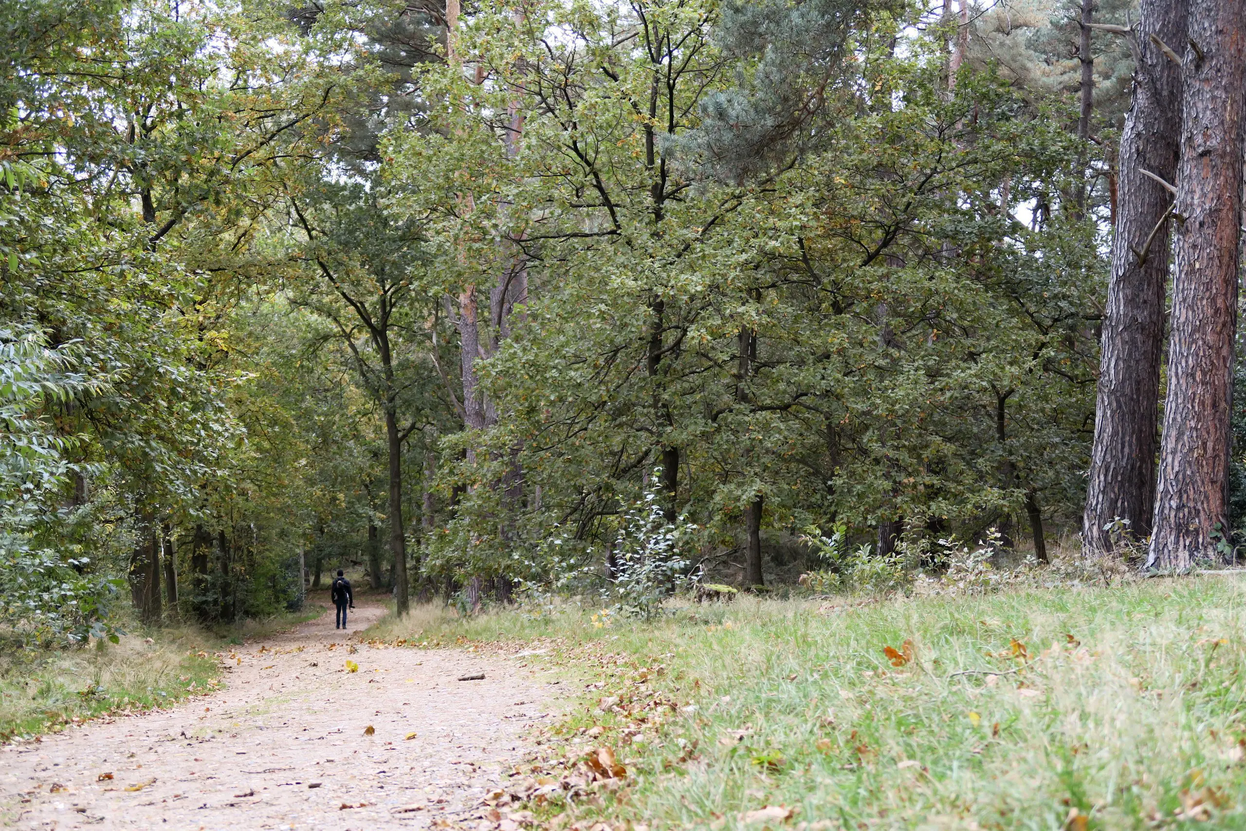 foto_2