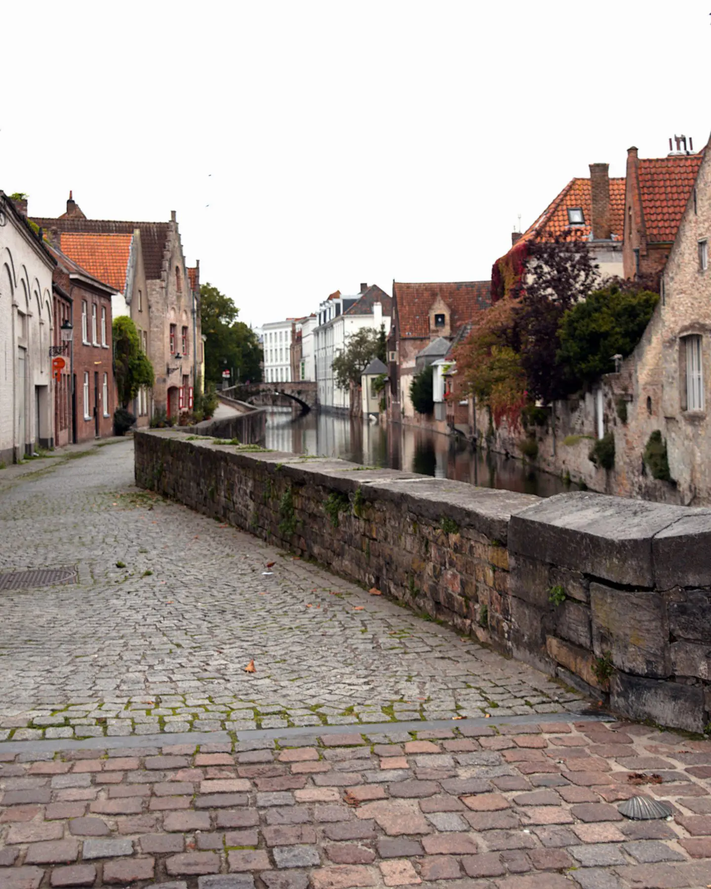 Langs de reien voert de tocht je door de historische binnenstad van Brugge. (foto door Hugo Frederix)