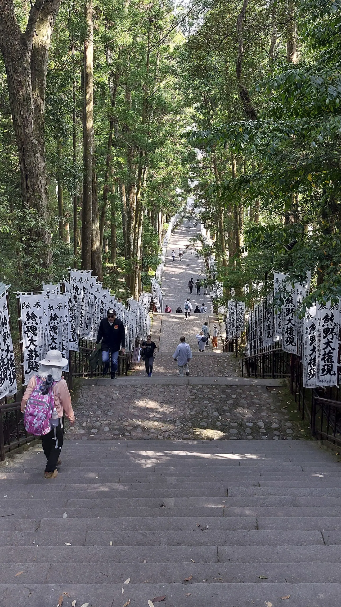 Toegang naar Hungu Taisha