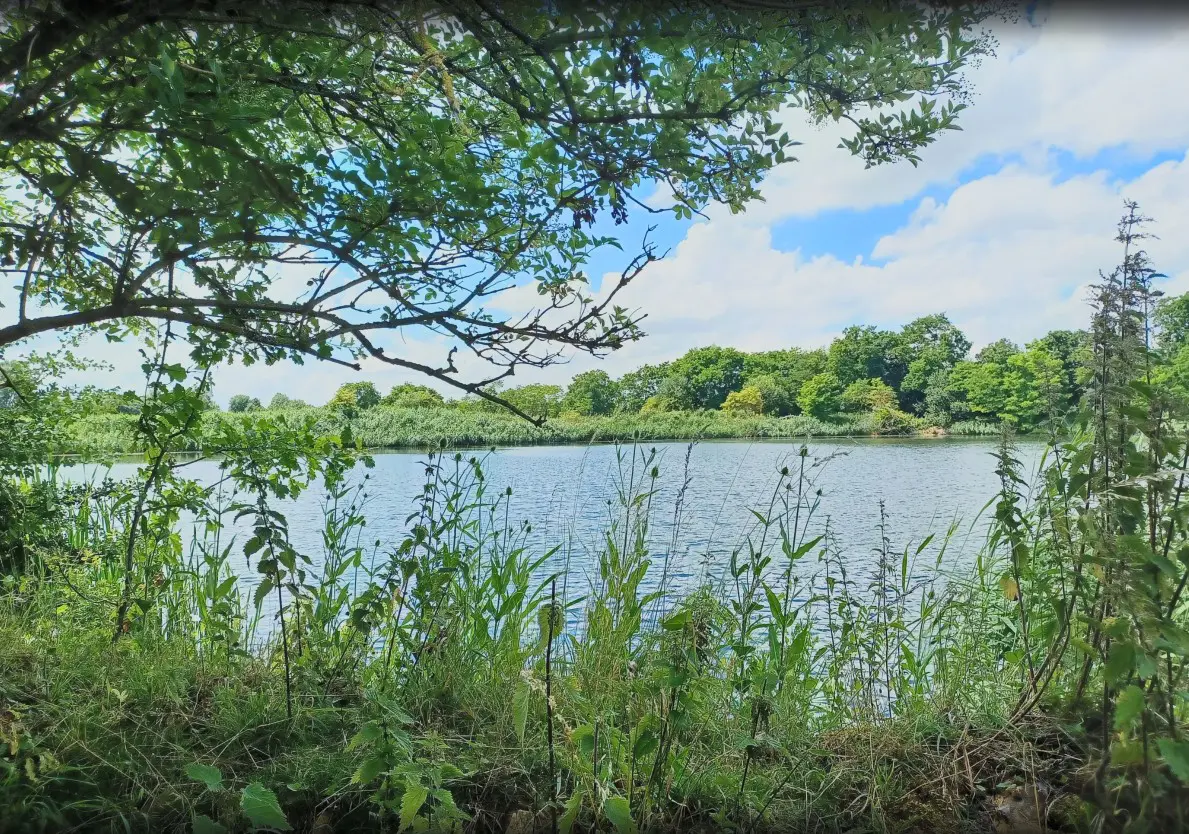 waterbassins