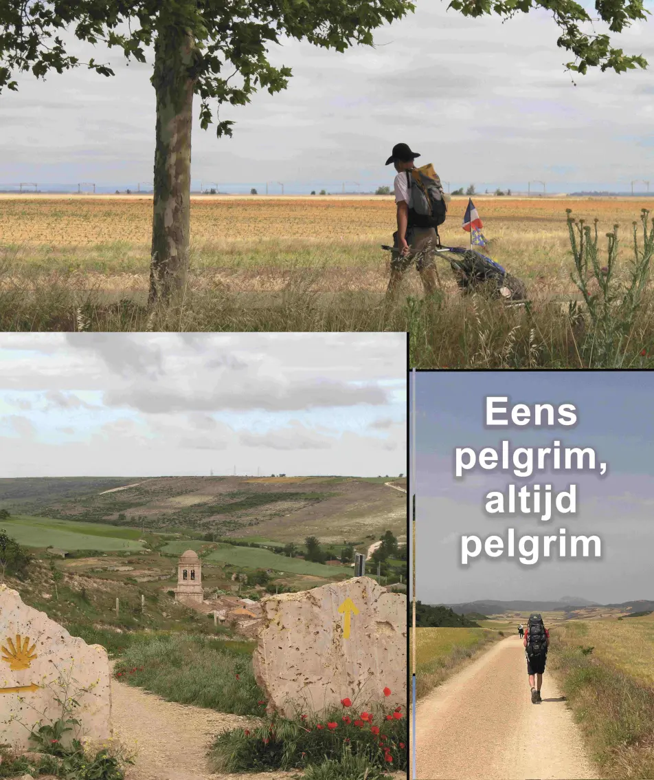 Jakobscafé in Sint-Truiden