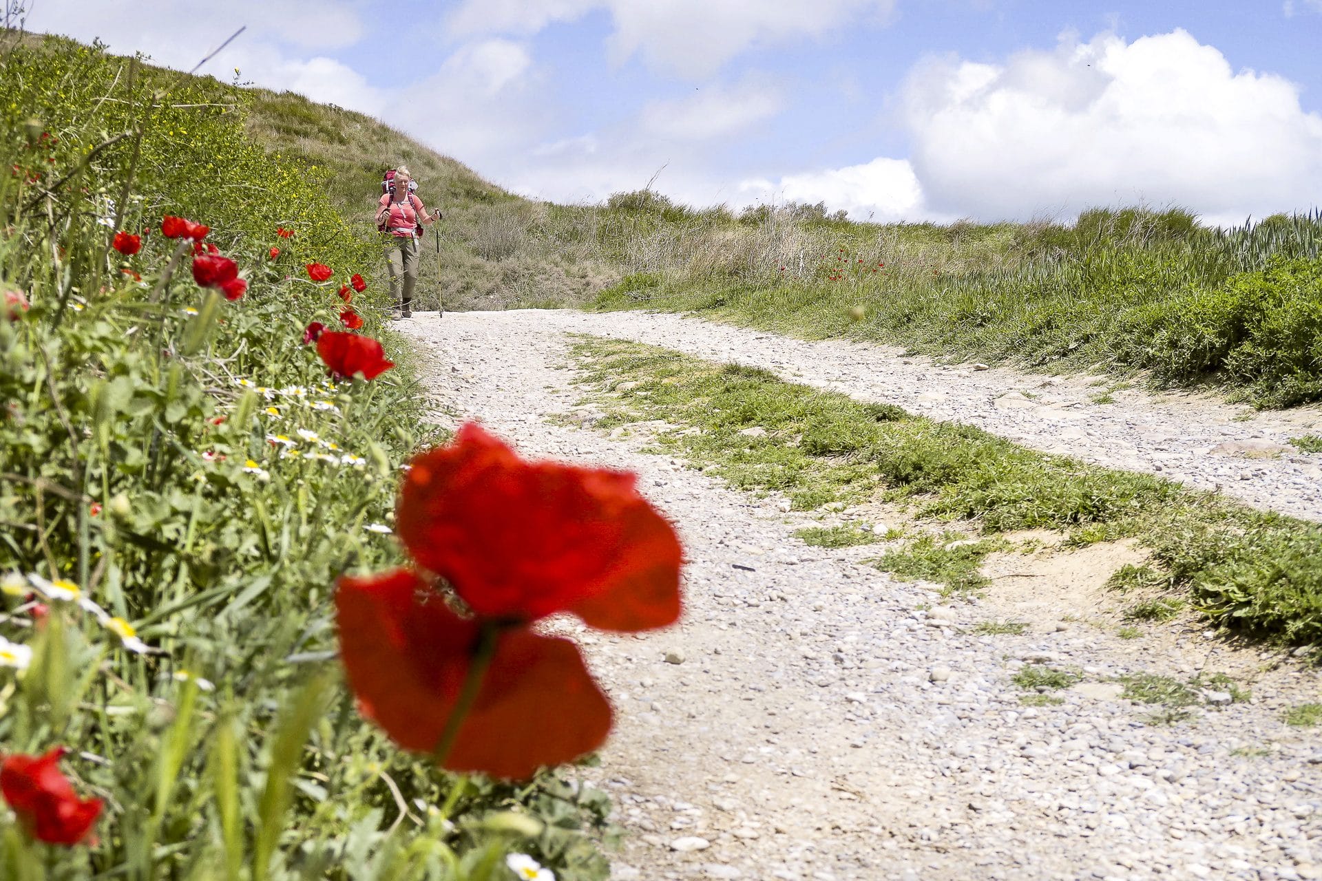 Vertelavond in Genk (foto 4)