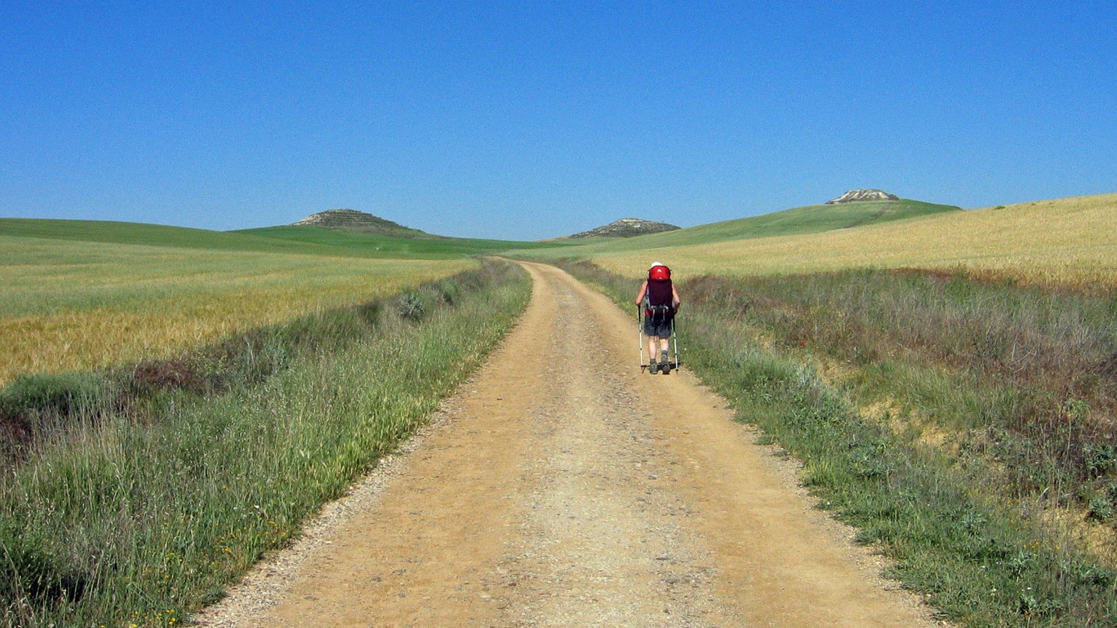 Camino Francés - Door de Meseta