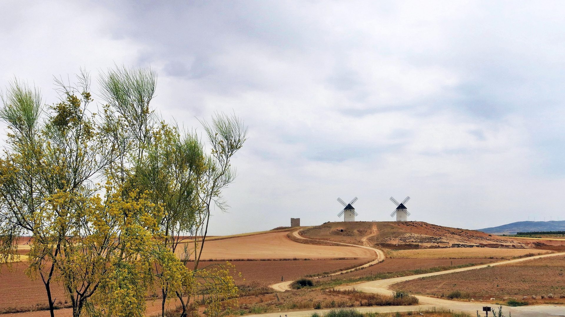 Camino de Levante