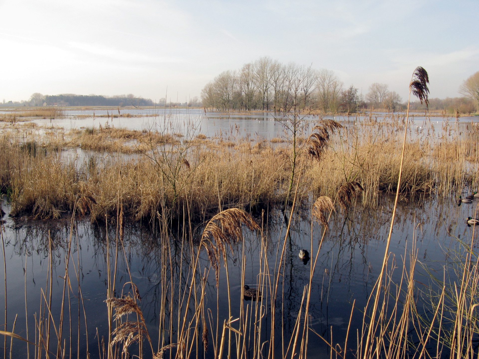 Derde etappe "Vree Wijze Wandeling rond Gent"