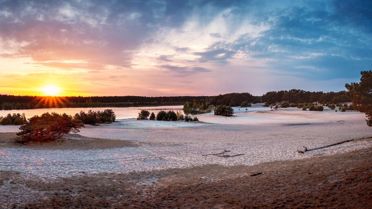 Zonsondergang in de Lommelse Sahara waar het in de zomer altijd enkele graden warmer is.