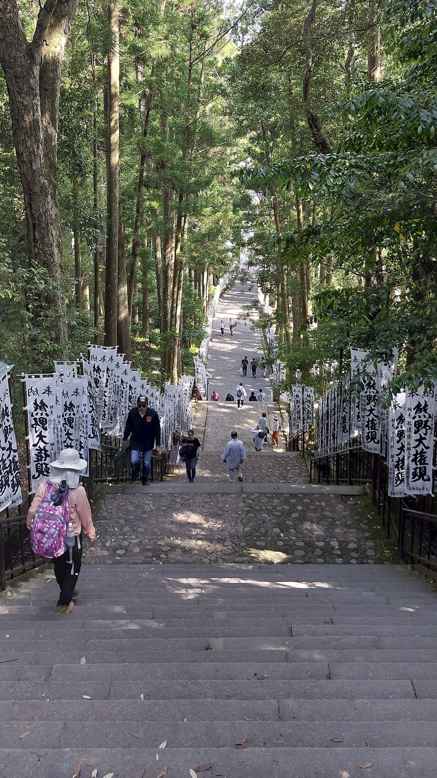Toegang naar Hungu Taisha