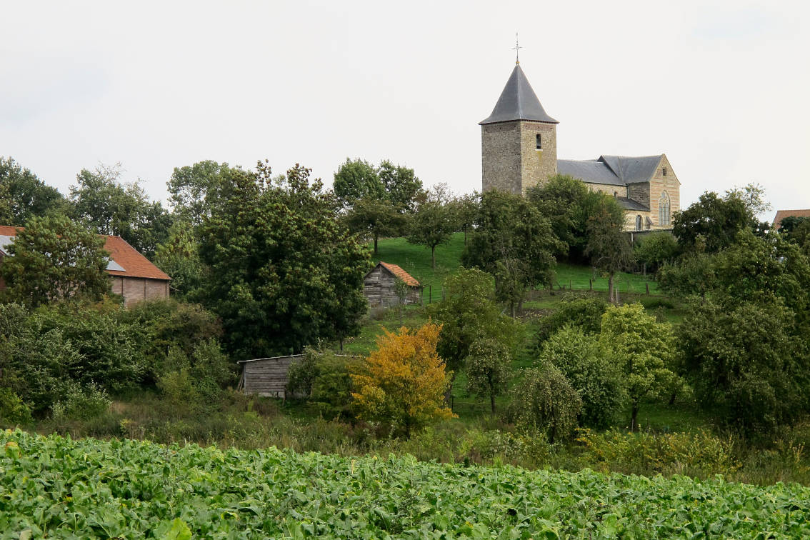 Limburgica_Sint-Martinuskerk van Berg - Nico Bringmans Limburgica Sint-Martinuskerk van Berg