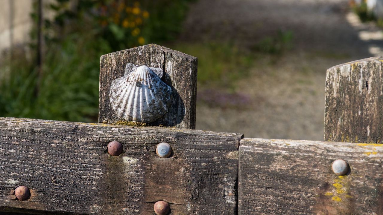 Aytre - La Rochelle-00335 - Jef Van Lint