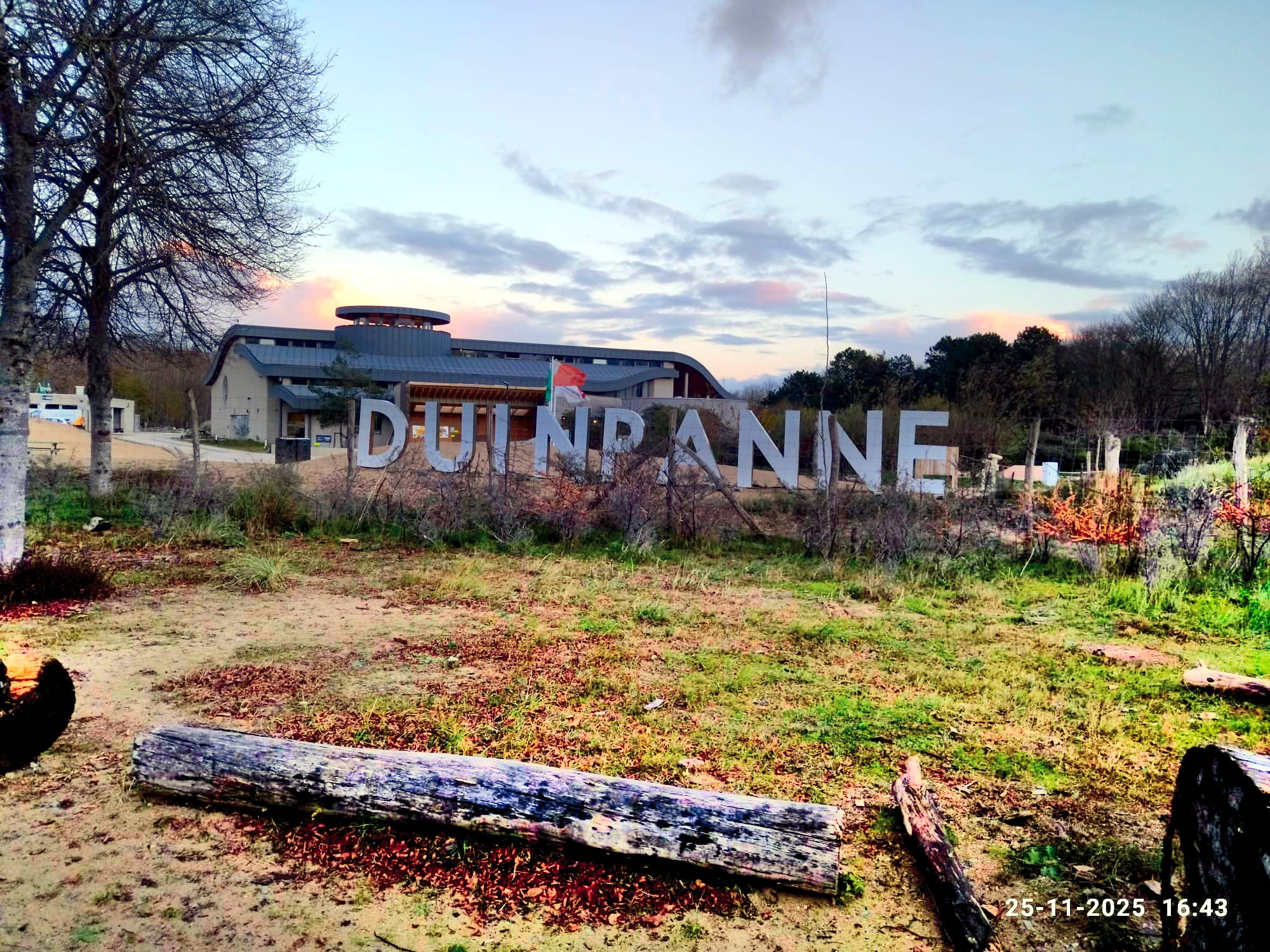 Duinpanne - Theo Goosens