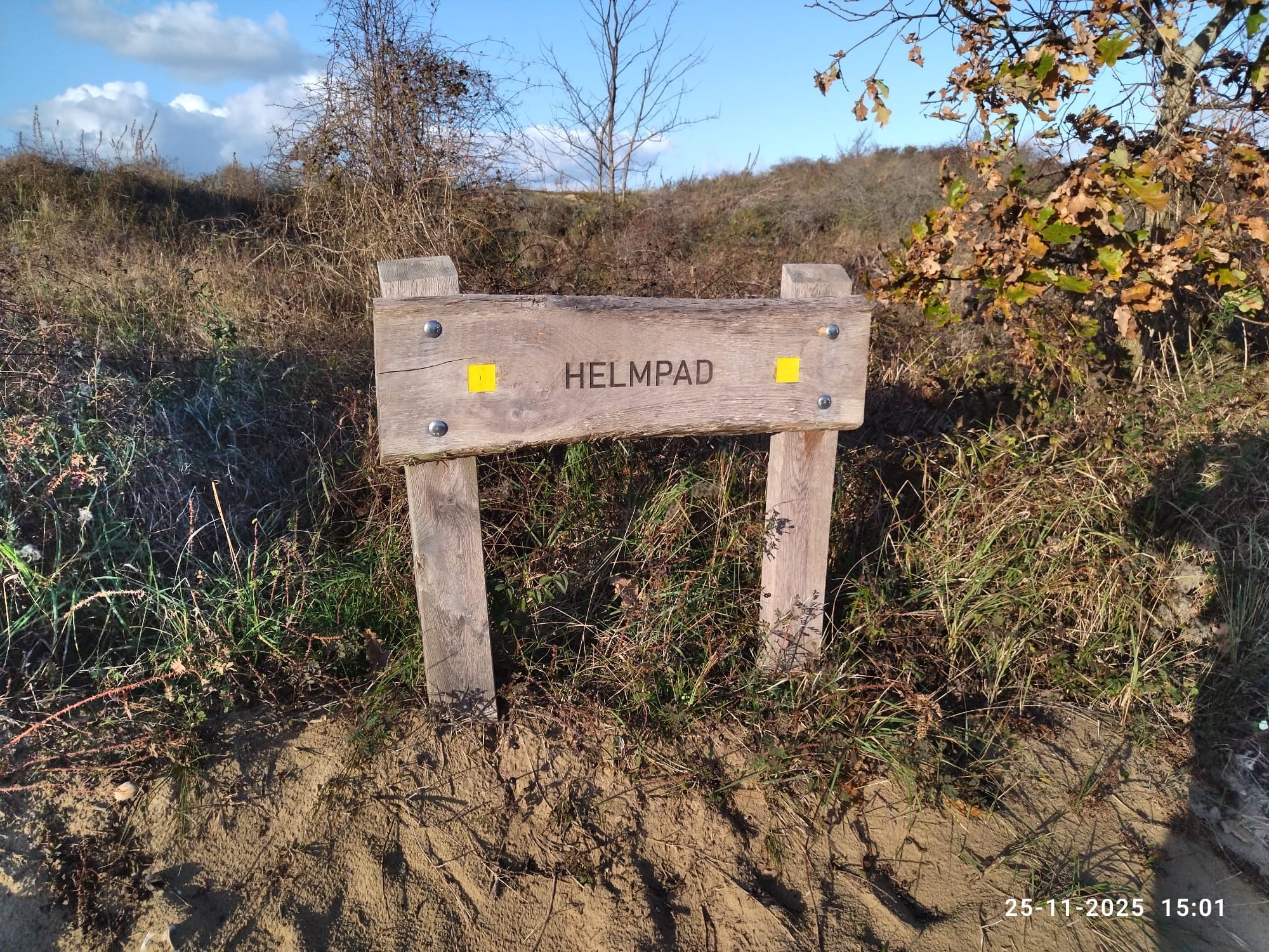 Helmpad De Panne - Theo Goosens